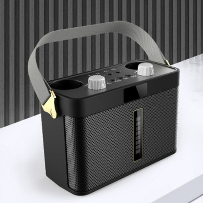 Outdoor Bluetooth Speaker Karaoke Double Microphone Classroom Teaching Meeting Party