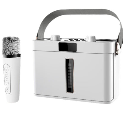 Outdoor Bluetooth Speaker Karaoke Double Microphone Classroom Teaching Meeting Party